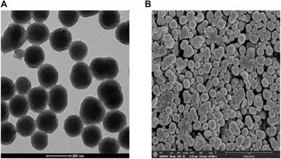 DNA aptamer-functionalized PDA nanoparticles: from colloidal chemistry to biosensor applications